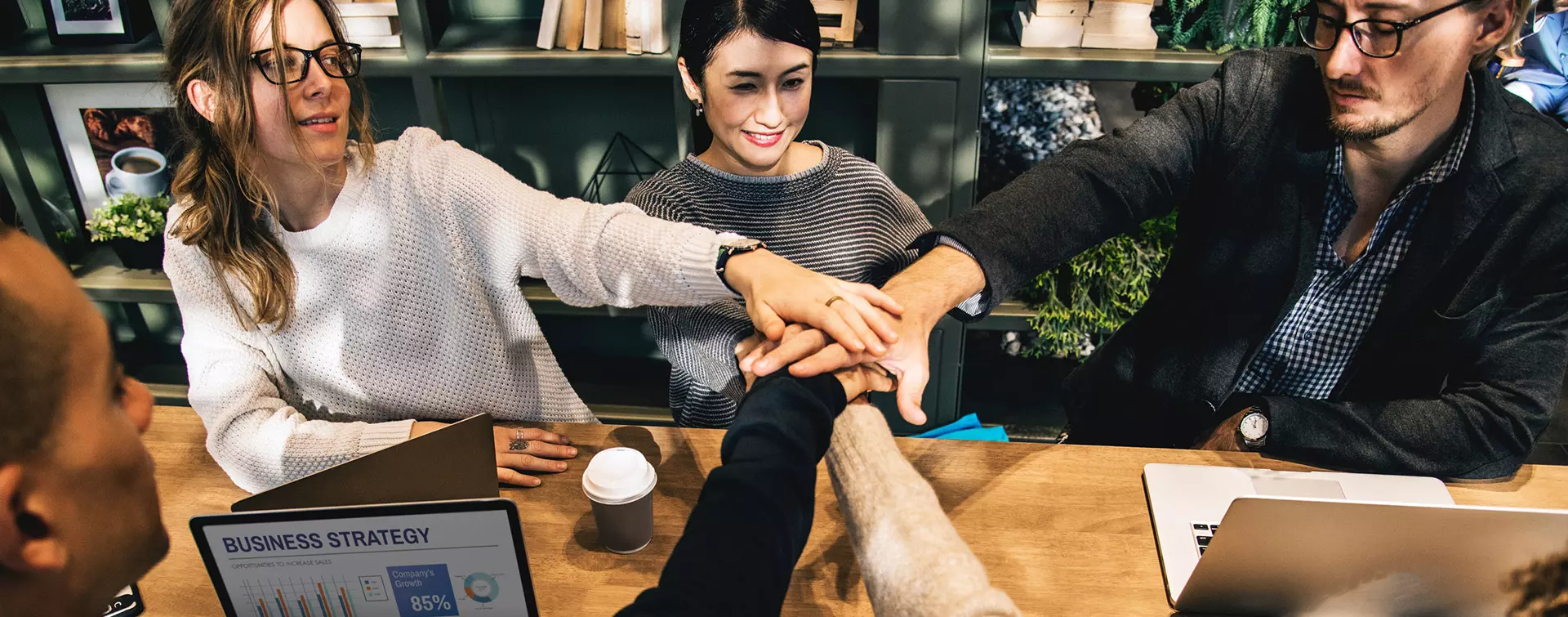 Form Section Background